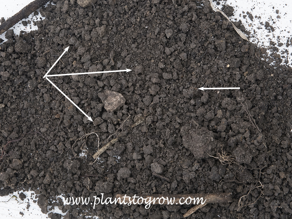 This is loamy soil.  The arrows are pointing to some of the granular soil structure.